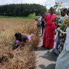"Samrudhi Green Color Aswedduma Matrubhumi" National Plantation Day Environment Program / Homagama (Kirigampamunwa) (2022-09-28)